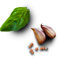 um dente de alho, grãos de pimenta e folha de manjericão